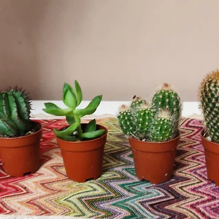 Il Giardino Del Sole Daire *