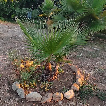 Il Giardino Del Sole