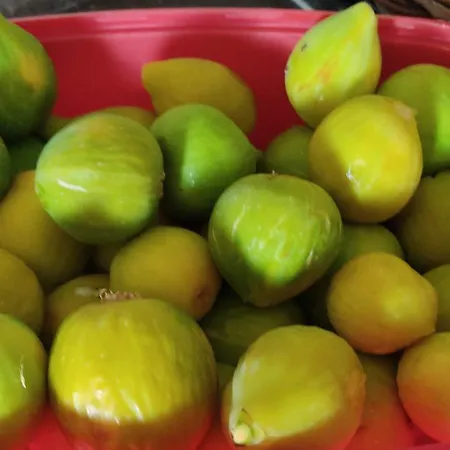 Апартаменты Il Giardino Del Sole Галатоне