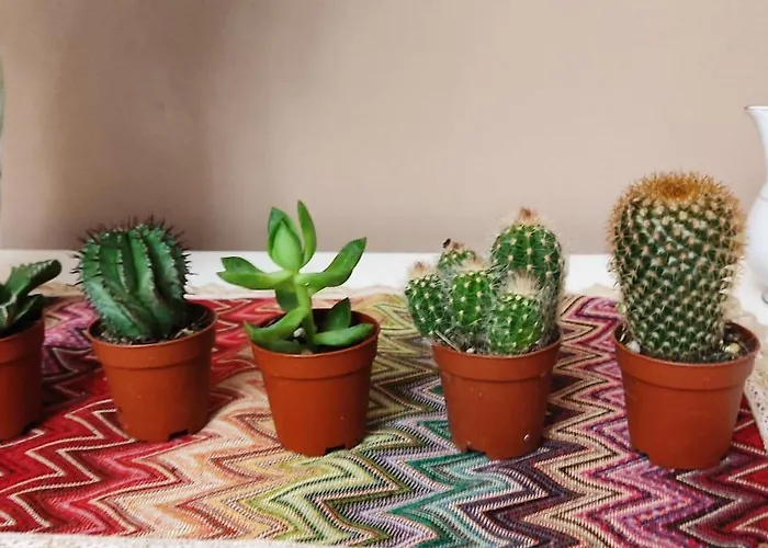 Il Giardino Del Sole アパート *