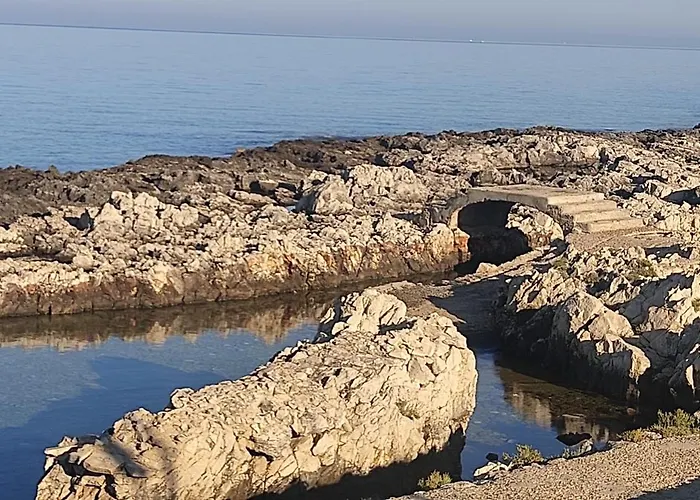 Il Giardino Del Sole *