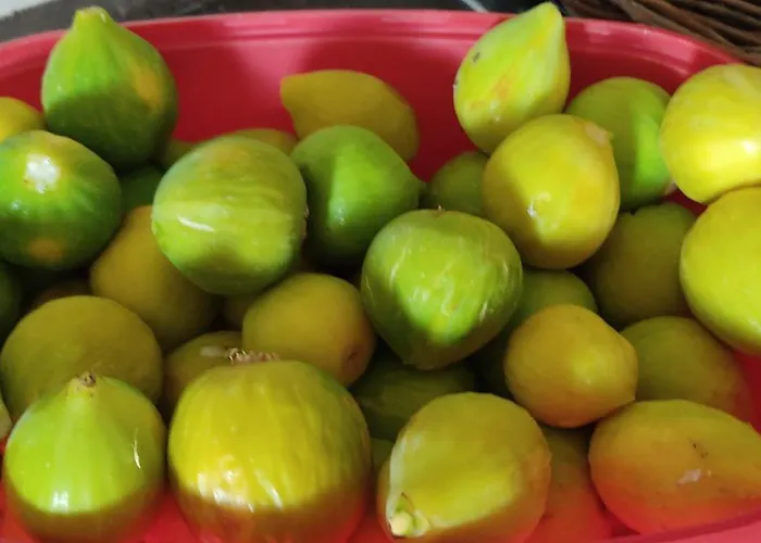 アパート Il Giardino Del Sole ガラトーネ